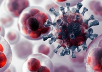 Servicios de Oncología