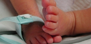 Importancia en la atenci&oacute;n de calidad del cuidado del neonato.